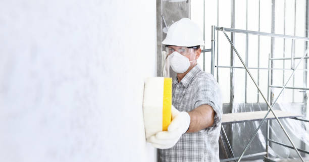 Best Basement Mold Removal  in Vandenberg Af, CA