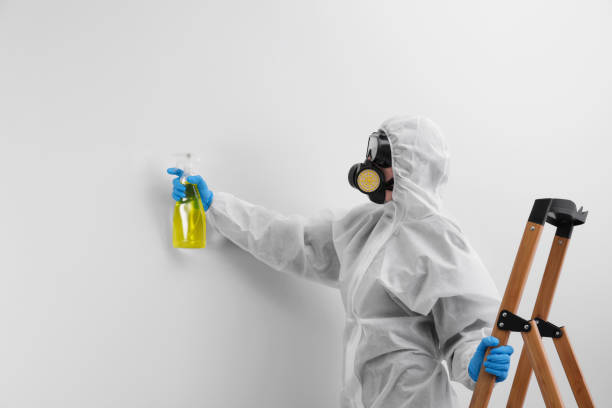 Best Mold Remediation for Healthcare Facilities  in Vandenberg Af, CA